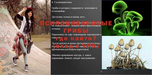 мяу мяу мука Балахна